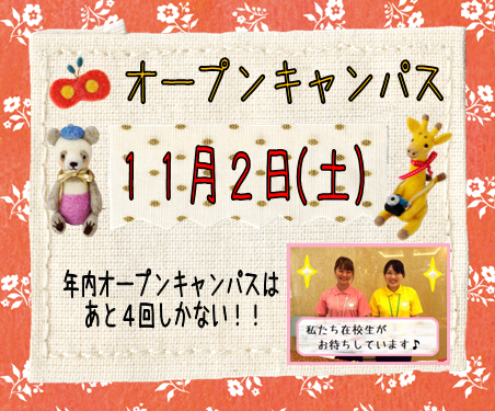 11月OP.png