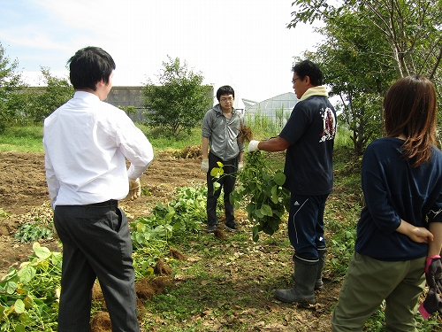 TMK枝豆収穫①.jpg