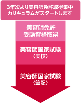 3年次より美容師免許取得集中カリキュラムがスタートします