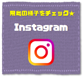phinstagramﾊﾞﾅｰ.png