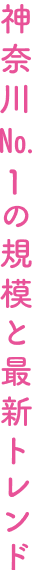 神奈川No.1の規模と最新トレンド