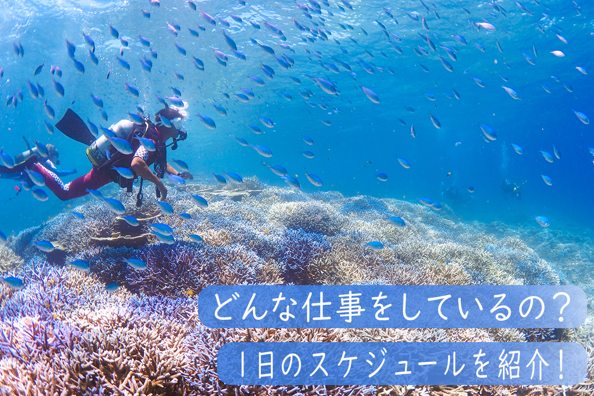 ダイビングインストラクターの仕事内容についてわかる！