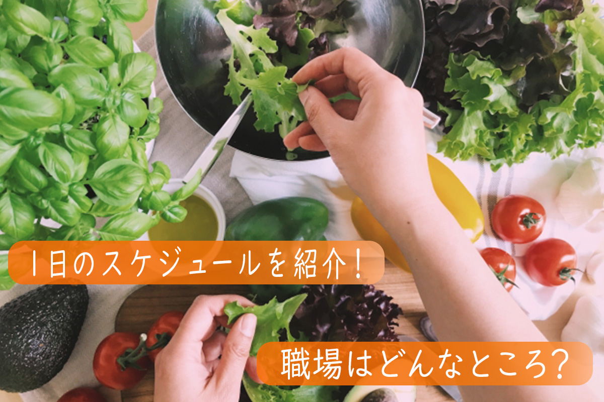 調理師の仕事内容 1日の流れは?