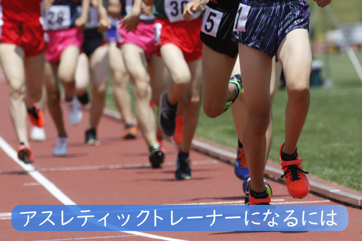 アスレティックトレーナーの仕事内容がわかる！