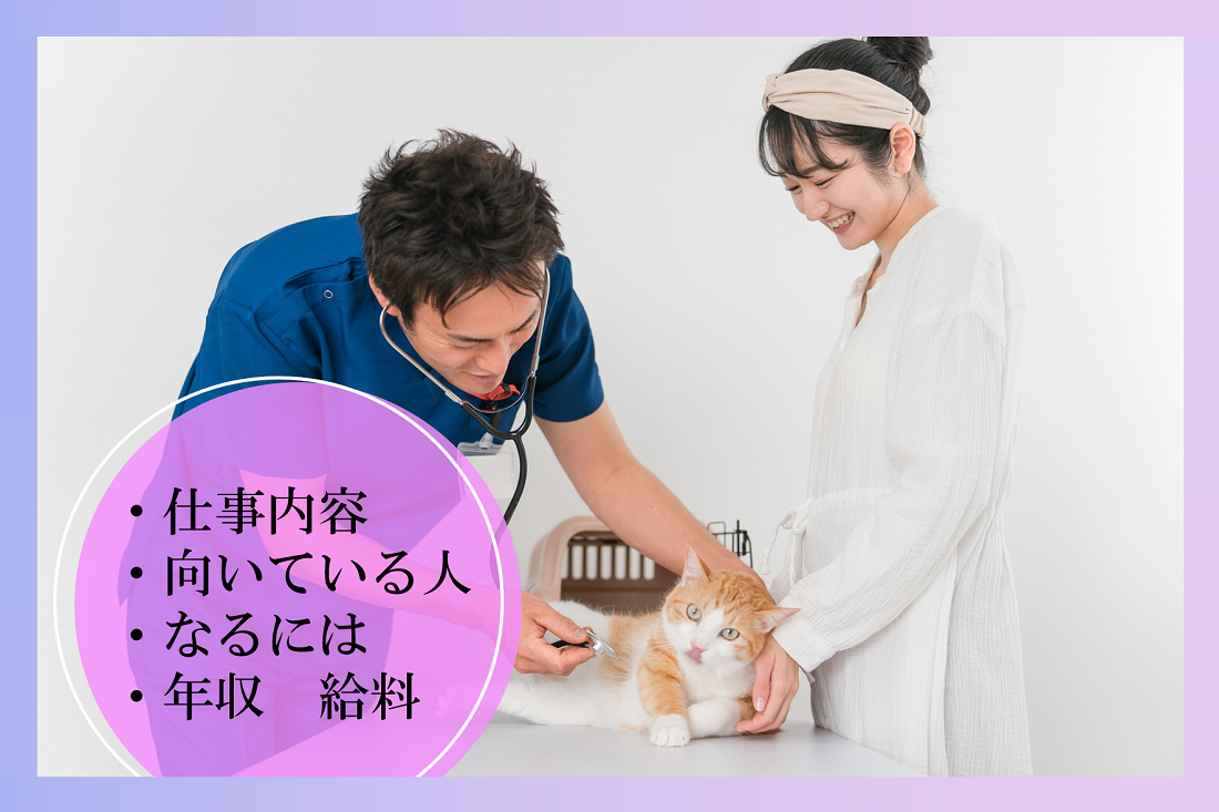 獣医の仕事内容についてわかる!必要なスキルや年収は?