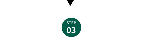 STEP03
