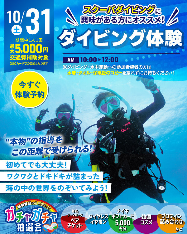 1031diving.jpg