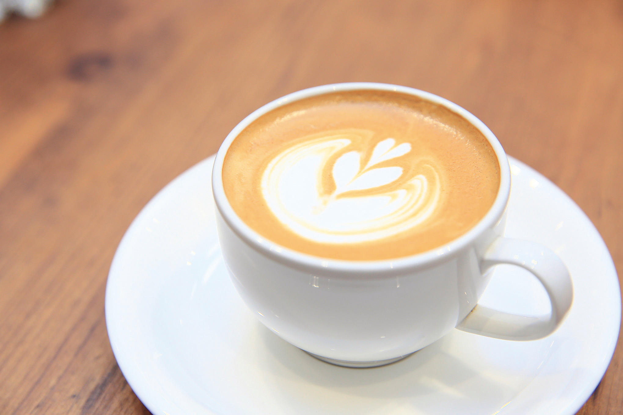 オープンキャンパス 大阪の調理師 製菓専門学校 辻学園調理 製菓専門学校