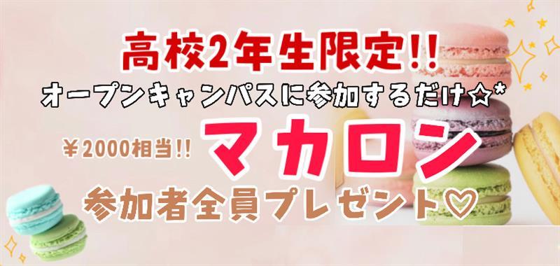7a3c6a3a-4e78-4a85-988b-17082234fe3b.jpg