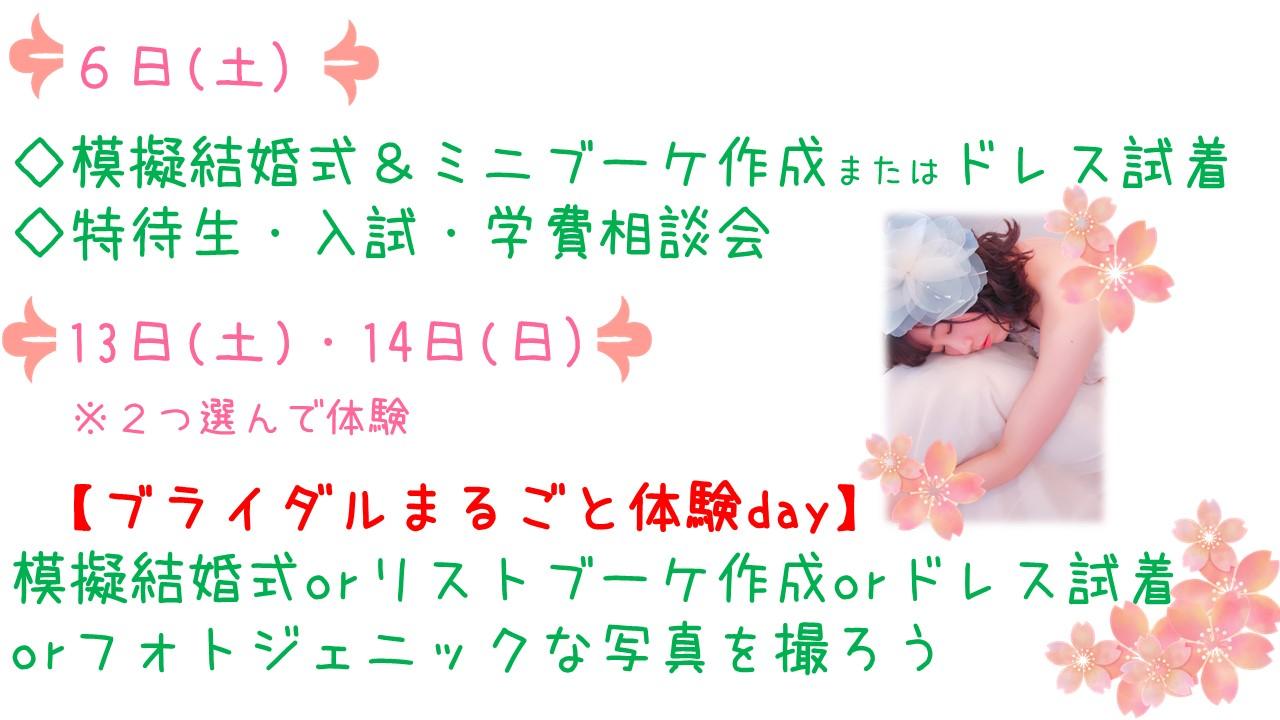 コーラルウェディング(結婚35年目)