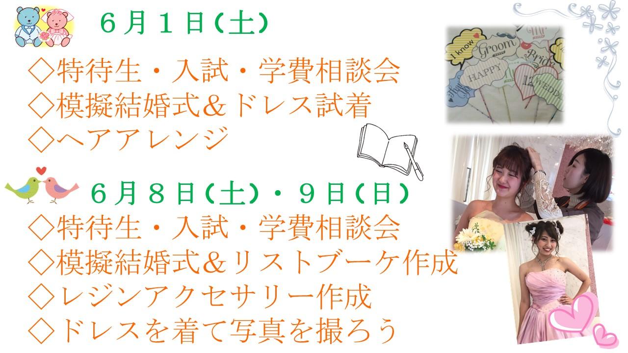 コーラルウェディング(結婚35年目)