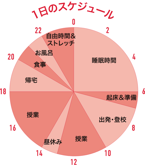 1日のスケジュール