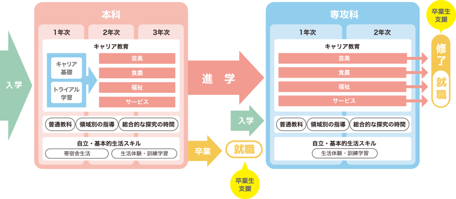 入学から卒業・就労までの流れ