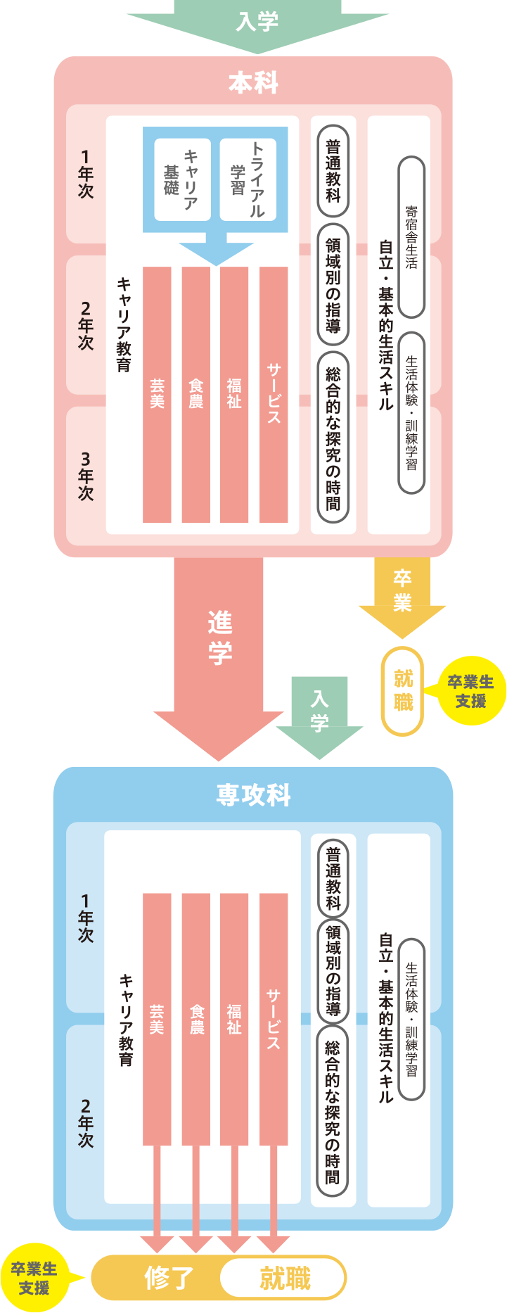 入学から卒業・就労までの流れ