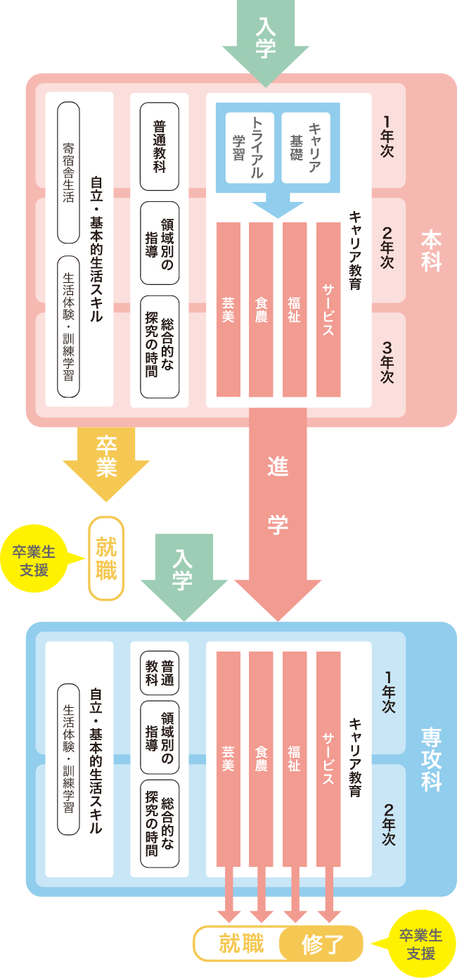入学から卒業・就労までの流れ