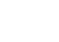 Voice