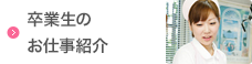 卒業生のお仕事紹介