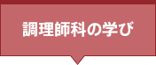 取得できる資格＆主な就職先