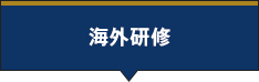 海外研修