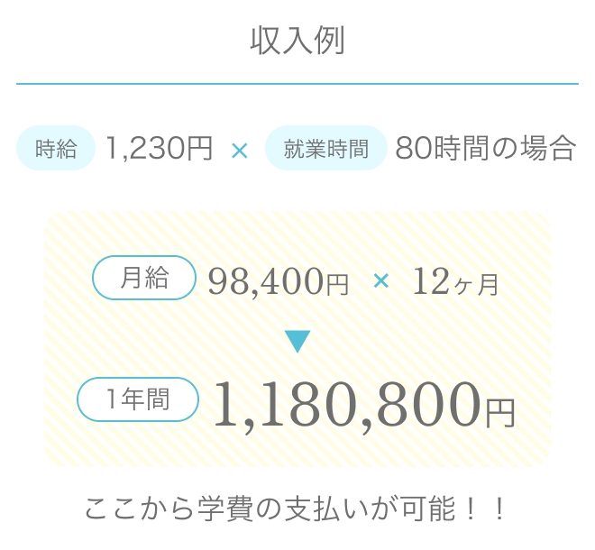 収入例